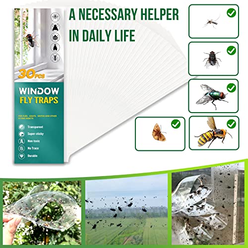 30 Pack Fruit Fly Traps Indoor, Non-Toxic Window Fly Trap Catcher Clear Trap for Home, Flies Traps Kitchen, Paper Sticky Strips, Flying Insect Traps for Bugs Mosquito Gnat, Lady Bug Killer Traps