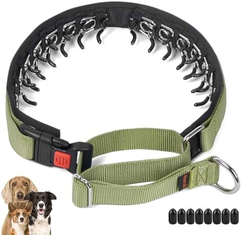 Mayerzon No Pull Dog Collar, Patented Martingale Collar for Small Medium Large Dogs with Buckle and Heavy Duty Nylon for Walking Training Hunting, Safe and Easy to Use(XL, Green)