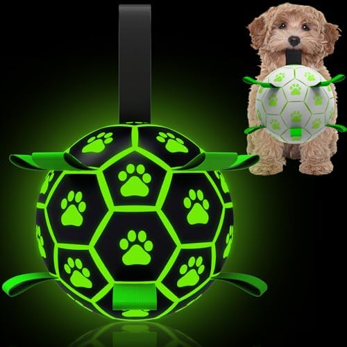 QDAN Dog Balls, Glow in The Dark Dog Toys, Light Up Ball for Dogs, Outdoor Puppy Soccer Ball with Straps, Puppy Birthday Gifts for Small & Medium (6 Inch)