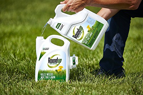 Roundup For Lawns1 Refill (Northern), 1.25 gal. - Lawn Safe Weed Killer For Northern Lawns - Kills Crabgrass, Dandelion, Clover and Yellow Nutsedge - Kills Weeds, Not the Lawn