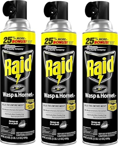 Raid Wasp and Hornet Spray- 17.5 Ounces - 3 Pack