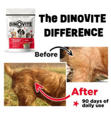 Dinovite Probiotic Supplement for Dogs - Omega 3 for Dogs - Hot Spot Relief - Skin & Coat Supplement for Dogs - 30 Day Supply (30 Day Supply, Small Dogs (1-18 lbs))