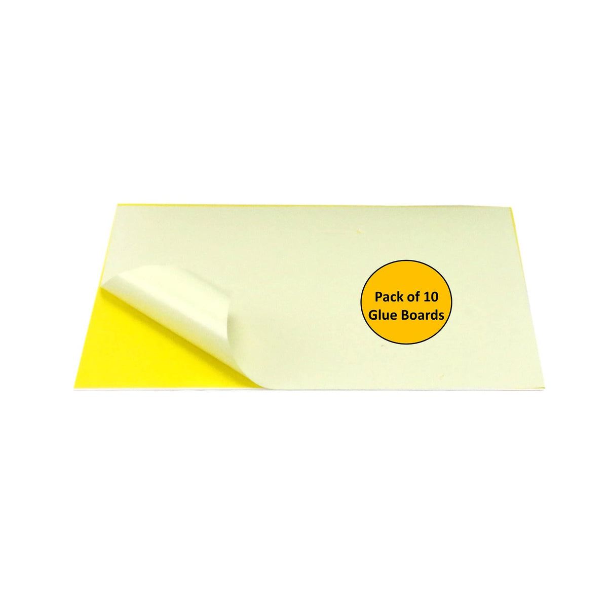 Sticky Type Awoco Pack of 10 Replacement Sticky Type M Glue Boards for Awoco Metal