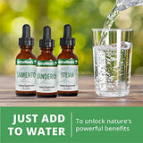 NutraMedix Takuna Drops - Liquid Immune System Support Supplement - Bioavailable, Fast Absorbing Herb Extract from Wild Harvested Peruvian Cecropia Strigosa Bark Extract (1 oz / 30 ml)