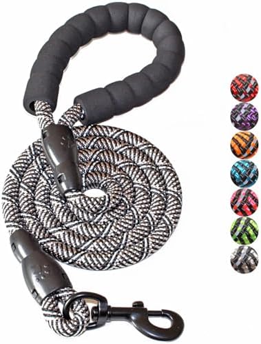 BAAPET 2/4/5/6 FT Dog Leash with Comfortable Padded Handle and Highly Reflective Threads for Small Medium and Large Dogs (5FT-1/2'', Black Silver)