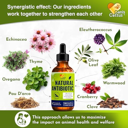 Dog Antibiotics for Infections & Cough | Natural Antibiotics for Dogs and Cats to Help with Respiratory Moments, UTIs, Allergies, & Itching | Organic Supplement to Cares for Bones, Eyes, & Coat | 2 Oz
