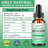 JINGYAT Mullein Drops for Lungs | Powerful Mullein Leaf Extract with Chlorophyll, Vitamin C, Cinnamon for Immune Support, Detox & Respiratory Support, Bronchial Support | Non-GMO, Kosher, Gluten-Free