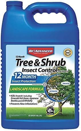 BioAdvanced 701525A 12-Month Shrub Control Insect Killer and Tree Fertilizer, 1-Gallon, Landscape Formula Concentrate