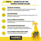 Harris Spider Killer, Liquid Spray with Odorless and Non-Staining Formula (32oz, 2-Pack)