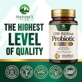 Probiotics for Digestive Health - 120 Billion CFU Guaranteed with Diverse Strains for Women's Vaginal & Urinary Health & Daily Immune Support, Nature's Acidophilus Probiotic Supplement - 120 Capsules