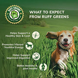 Ruff Greens - Vitamin & Mineral Supplement, Nutritional Support for Dogs, Probiotics for Dogs, Dog Vitamin Powder, Nutritionally Pure Superfood for Pets, 13.8 Ounce