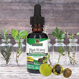 Nature's Answer Black Walnut & Wormwood | 2,000mg | Vegan, Non-GMO, Gluten-Free & Alcohol-Free | Promotes Gut Function | 1 Oz (2 Pack)