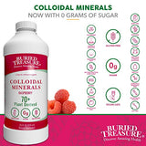 Buried Treasure Fulvic Mineral Complex - 32oz, Natural Raspberry Flavor with Over 70 Plant Derived Minerals Non-GMO Electrolyte Replacement Vegetarian Safe Daily Essential and Trace Minerals