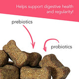 VetriScience Probiotic Everyday for Dogs, 45 Chews - Immune and Digestive Support Supplement for Dogs