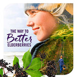 Nature's Way Sambucus Sugar-Free Elderberry Syrup, Traditional Immune Support*, 8 Fl. Oz.