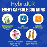 HybridCR Rapid Immune Defense – 4 Day Immunity Supplement - Immune Defense Booster with Echinacea, Ginseng, Andrographis, Zinc, Selenium – Travel Size for Immune System Support – 24 Caps, 2 Dose Packs