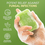 Roycederm Antifungal Antibacterial Tea Tree Soap: Antifungal Antibacterial Treatment for Face & Body Acne, Athlete's Foot, Tinea, Folliculitis Ringworm Jock Itch