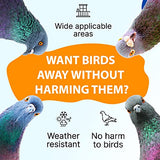 Petslandia Bird Deterrent System - Polycarbonate UV Resistant Pigeon Deterrent, Cruelty-Free Pigeon Proof, Long Lasting, Suitable for Balconies, Patios and Outdoors (118 in)