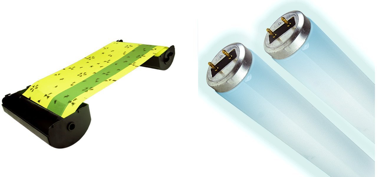 Paraclipse 73893 Terminator Annual Pack (4 Cartridges, 2 Bulbs)