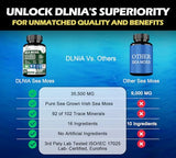 DLNIA Organic Sea Moss 17500mg Ashwagandha 5000mg Black Seed Oil 4000mg, Turmeric Bladderwrack Burdock 2000mg Each, Vitamin C & D3 with Elderberry Manuka Dandelion Yellow Dock for Overall Health