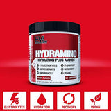 Evlution Nutrition HYDRAMINO Complete Hydration Multiplier, All 6 Electrolytes, Vitamin C & B, Fluid Boosting Aminos, Coconut Water, Endurance, Recovery, Antioxidants, 30 Serve, Fruit Punch