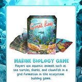 Genius Games Ecosystem: Coral Reef - A Mensa Recommended Family Card Game About Aquatic Animals, Their Habitats & Food Chain | A Light Educational Marine Biology Board Game for Kids and Families