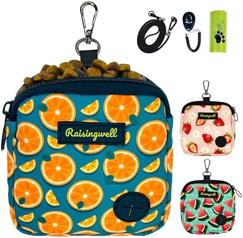 Dog Treat Pouch for Pet Walking and Training with Clicker Poop Bags Small Fanny Zipper Pack Holder for Puppy Snack Dispenser Kit for Leash and Outdoor Use (Fruit Orange)