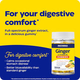 Enzymedica, Ginger & Vitamin B6 Gummies, Support for Occasional Nausea & Indigestion, High Potency, Equivalent to 200 mg Ginger Extract, 60 Count