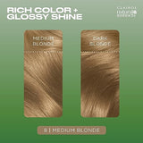 Clairol Natural Instincts Demi-Permanent Hair Dye, 8 Medium Blonde Hair Color, Pack of 3