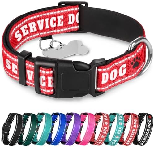 TECEUM Reflective Pet Collar – Red - Service Dog – M – Extra Soft Padding – Basic Nylon Dog Collar – Quick Release Buckle – Fits Small, Medium and Large Dogs, Puppies, Cats