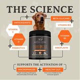 Shield Allergy Immune Support Supplement for Dogs by Alpha Dog Nutrition - 7 Nutritional Mushroom Powder Complex + Vitamin C to Boost Immunity - Up to 60 Servings for Small Breed Dogs, 54g