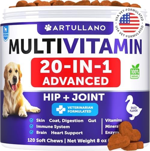 Dog Multivitamin Chewable with Glucosamine 20 in 1 - Dog Vitamins and Supplements - Senior & Puppy Multivitamin for Dogs - Pet Joint Support Health - Immunity, Mobility, Gut Skin - 120 Chews
