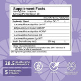 Celebrate Vitamins Balance Bariatric Probiotic + Prebiotic Capsules, 28.5 Billion CFU, 5 strains, Supports Digestive Health, Shelf Stable, for all Bariatric Surgery Patients (30 count)