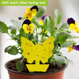 60PCS Yellow Sticky Traps, Dual-Sided, for Capturing Insects Like Gnats, Fruit Flies, Aphids