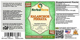 Herbal Terra LLC Kalanchoe Pinnata (Bryophyllum Pinnatum) Glycerite, Dried Leaves and Stems Alcohol-Free Liquid Extract, 2 fl.oz Pack of 1