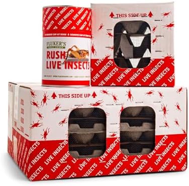 Fluker's Live Crickets, 100 Count Feeder Insects for Reptiles, Chickens, and Birds, Large (Approx. 3/4")