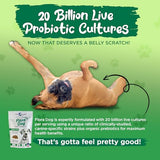 Vital Planet - Flora Dog Probiotics, Dog Chews Supplement with 20 Billion Cultures and 11 Strains, Immune and Digestive Support Chewable Probiotics for Dogs, 30 Natural Bacon Flavored Soft Chews