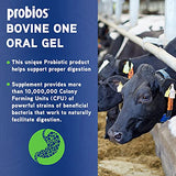 Probios Bovine One Oral Gel for Ruminants Tube, 60cc