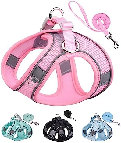 Solmoony Dog Harness for Small Medium Dogs No Pull, Puppy Harness and Leash Set, Puppy Harness for Small Dogs, Step in Harness for Small Dogs, Small Dog Harness, mesh Dog Harness. (Pink, M)