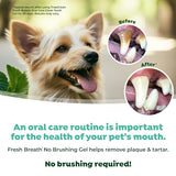 TropiClean Fresh Breath for Dogs | No Brush Dental Gel for Dogs | Dog Dental Gel & Toothpaste for Plaque, Tartar & Stinky Breath | Made in the USA | 4 oz.