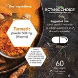 Botanic Choice Premium Turmeric Antioxidant Support - Joint Health Supplement for Adults - 180 Vege Capsules (500 mg each)