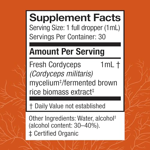 Host Defense Cordyceps Extract - Immune & Energy Support Supplement - Kidney Health Supplement with Cordyceps - Fitness Support Supplement to Aid Oxygen Uptake - 1 fl oz (30 Servings)*