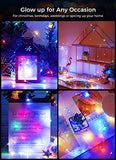 Brightown 12 Pack Easter Led Fairy Lights Battery Operated String Lights Waterproof Silver Wire 7 Feet 20 Led Firefly Starry Moon Lights for DIY Wedding Party Bedroom Patio Christmas