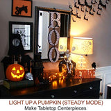 HOME MOST 2-Pack Halloween Pumpkin Lights with Remote/Timer - Orange Pumpkin Lights LED Battery Operated Decor - Halloween Jack-O-Lantern Outdoor Decorations -