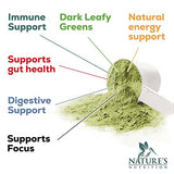Super Greens Powder Smoothie Mix - Super Green Blend Supports Energy & Gut Health with Spirulina, Wheat Grass, Chlorella, Vegetables, Digestive Enzymes & Antioxidants - Vegan Superfood - 30 Serving