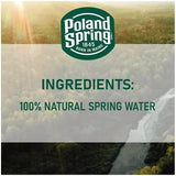 Poland Spring Natural Water 16.9 oz. 40 pk.