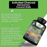 NATURALIFE LABS Activated Charcoal Capsules - 1,200 mg Highly Absorbent Helps Alleviate Gas & Bloating Promotes Natural detoxification Derived from Coconut Shells - per Serving - 100 Vegan Capsules