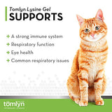 Tomlyn Immune Support Daily L-Lysine Supplement, Maple-Flavored Lysine Gel for Cats and Kittens, 3.5oz