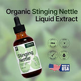 Stinging Nettle Leaf and Root 4 fl oz Liquid Extract - Natural Urinary & Kidney Support for Man and Woman - Organic Urtica Dioica - High Potency Herbal Supplement - 90-Day Supply