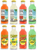 ADVENTURE BOX Calypso Lemonades Made with Real Fruit and Natural Flavors | 8 Flavor Variety,16 Fl Oz (Pack of 8)